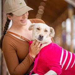 Blueberry Pet suéter chenille rosa borde interior duradero para perro