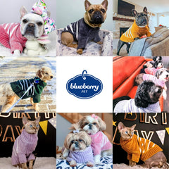 Blueberry Pet suéter chenille rosa diseño rayas con estilo clásico