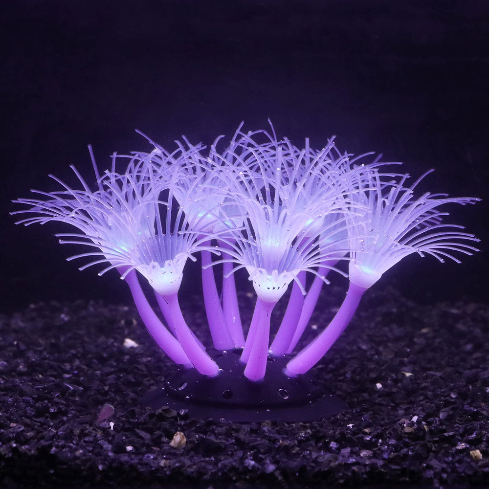 Bluecoco soft silica gel moves with water flow, adding gentle motion to your tank decor.