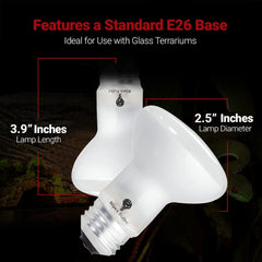 Bluex Bulbs 50W reptile heat bulb showcases steady basking heat.