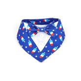 Bnibol patriotic dog tuxedo with blue star bandana for July 4 photos.