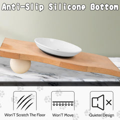 BNOSDM ceramic cat dish provides sturdy easy-to-clean surface