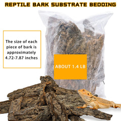 BNOSDM cork bark habitat scene demonstrates moisture retention for healthier terrarium humidity.