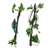 BNOSDM reptile climbing branch 2pc for natural terrarium setup