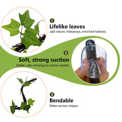 BNOSDM suction cups for reptile decor secure attachment in terrarium