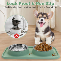 BNOSDM two stainless steel bowls for separate food and water feeding