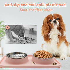 BNOSDM two bowls set for puppies and kittens sharing meals