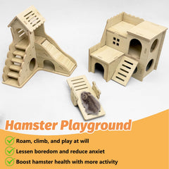 BNOSDM wood hamster house interior space invites hiding and daily play