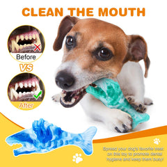BoYoYo dental-health toy shows grooves for toothpaste or treats to clean teeth.