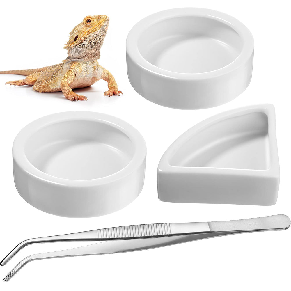 Boao reptile round 7cm food bowl with smooth ceramic surface for easy cleaning.
