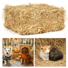 BobbleT natural wheat straw bedding 5lb package—clean, dry comfort for cats.