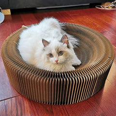 BobbyPet cat scratcher lounge round multi-function design for scratching.