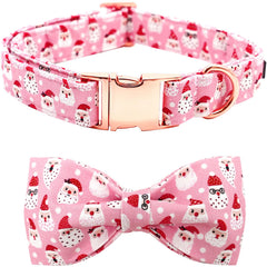 Bobo Rainbow collar Christmas pink Santa with festive look for holiday photos.