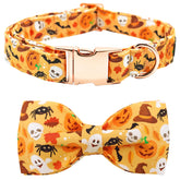 Bobo Rainbow Halloween dog collar shows vibrant festive design for photos and parties.