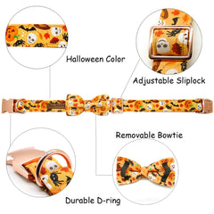 Bobo Rainbow removable bowtie highlights customizable style and quick seasonal changes.