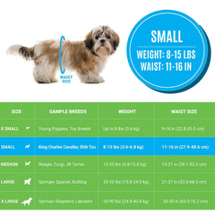 Bodhi Dog disposable male diapers small wetness-indicator shows color change signaling when to change
