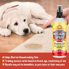 Bodhi Dog Not Here Spray applied on couch deters indoor marking