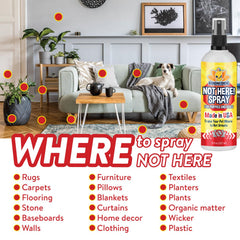 Bodhi Dog Not Here Spray demonstrates safe use on fabrics