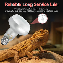 BOEESPAT Intense 100W UVA spotlight bulb pack-of-2 ready for terrariums.