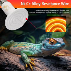 BOEESPAT emisor cerámico 100W para reptiles y anfibios, calor suave y constante.