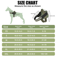 Bolux harness handle aids gentle control during crowded street walking.