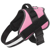 Bolux dog harness no-pull pink close-up highlighting comfortable, small-dog fit for safer daily walks.