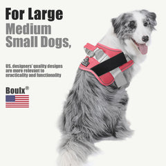 Bolux dog harness reflective straps at night enhance visibility.