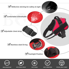 Bolux dog harness with reflective straps for safer night walking and high visibility.