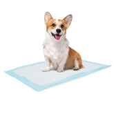 Bolux training pads 13x18 in-pack, ready for quick clean house training.