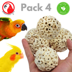 Bonka ball being chewed by a parakeet—safe, natural sola material.