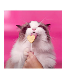 Bonkers Purr Pops lickable cat treat—individually wrapped for freshness and easy serving.