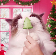 Bonkers Purrpops green cat spring toy promotes interactive play and enrichment.