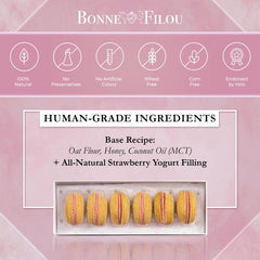 Bonne et Filou strawberry macarons appealing to medium and large dogs during celebrations.