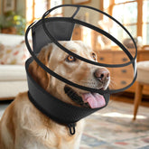 BONTHEE soft cone with inner mesh liner offers gentle comfort and breathability during recovery