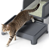 Booche cat ramp side view demonstrates compatibility and mess containment.