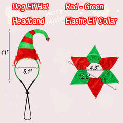 BoomBone elastic headband and collar provide secure fit during play.