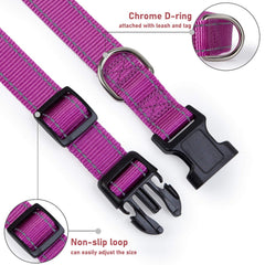 BOOMIBOO reflective dog collar quick-release ABS buckle for easy on/off.