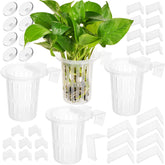 Borlech aquarium plant holder with 157in extension hooks for flexible placement and plant stability.
