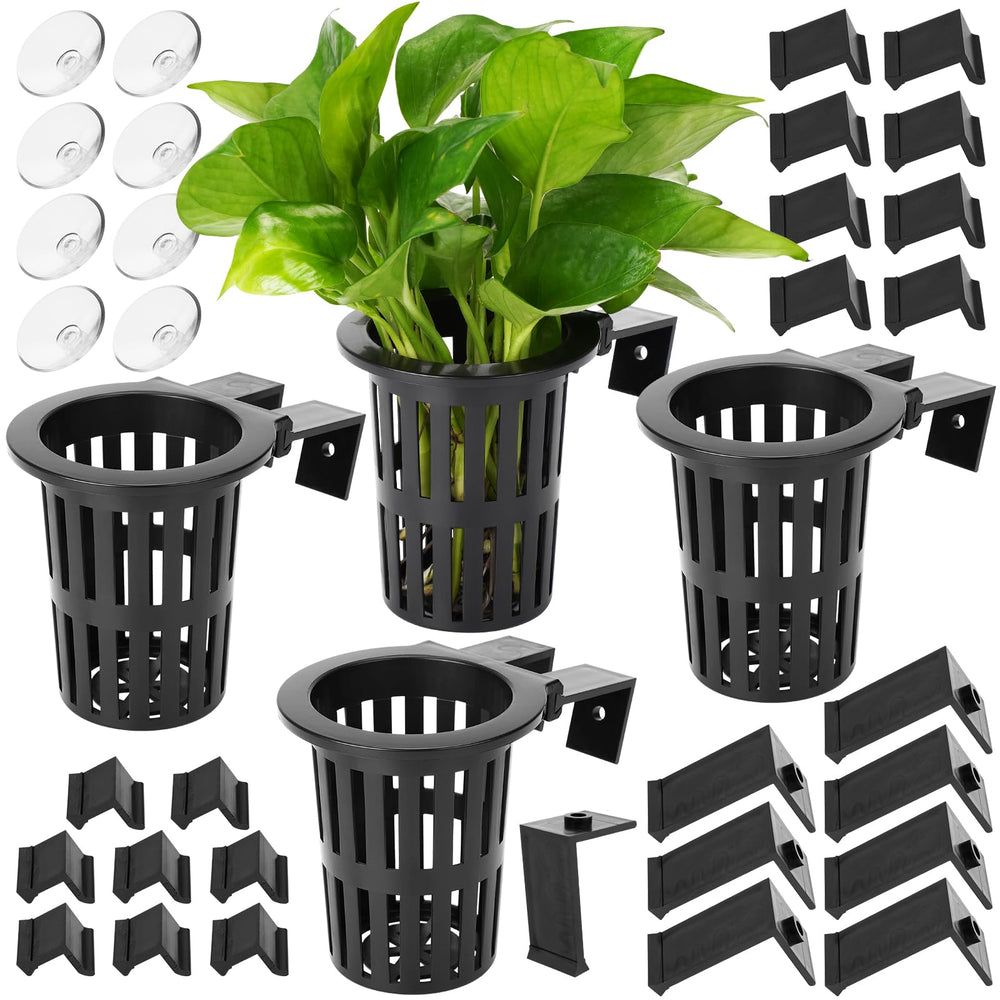Borlech aquarium plant holder with extendable hooks for versatile placement