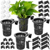 Borlech aquarium plant holder with extendable hooks for versatile placement