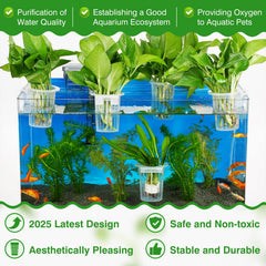 Borlech aquarium plant holder with suction cups for secure mounting on tank glass.