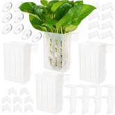Borlech upgraded aquarium plant holder hanging on glass for stable, root-safe plant display.