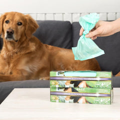 BOS light mint green bags on display emphasize the brand's packaging redesign and consistent performance.