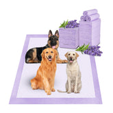 Boscute lavender-scented puppy pad in use delivers odor control and clean floors.