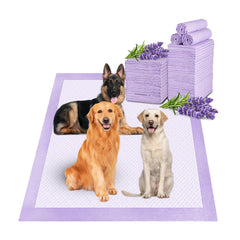 Boscute lavender-scented puppy pad in use delivers odor control and clean floors.