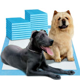 Boscute enormous 54x37 pee pad provides ample space for large dogs.