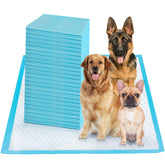 Boscute XXXXL 36x36 pad top view highlighting wide coverage for dog training