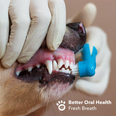 Boshel puppy-friendly finger toothbrush with soft silicone bristles for gentle cleaning.