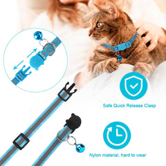 Bosose blue cat collar with breakaway buckle for quick, safe release.