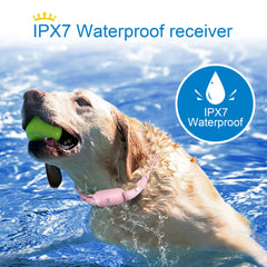 BOUSNIC collar modes show beep, vibration, and adjustable safe shock.